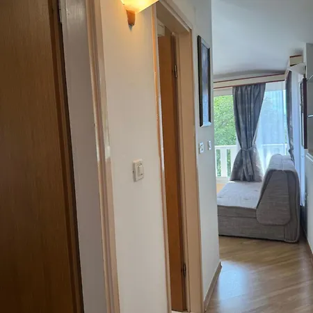 Apartment Free Breakfast- 50m From With Washing Machine